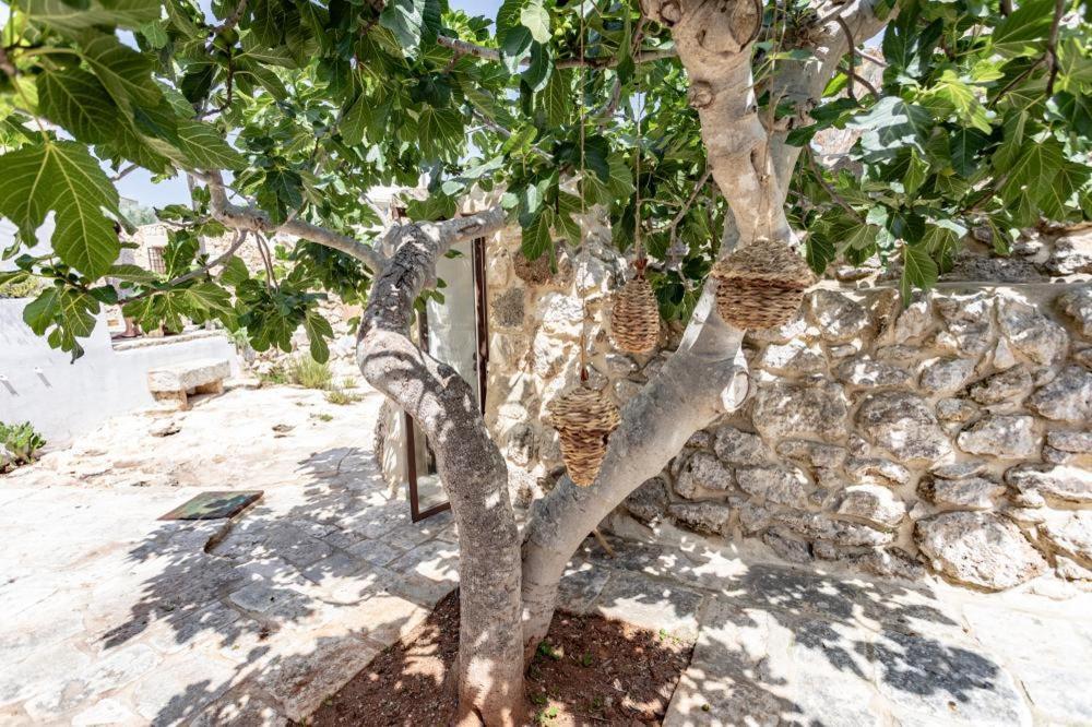 Bed and Breakfast Trullo Santovia Сант-Исидоро Экстерьер фото